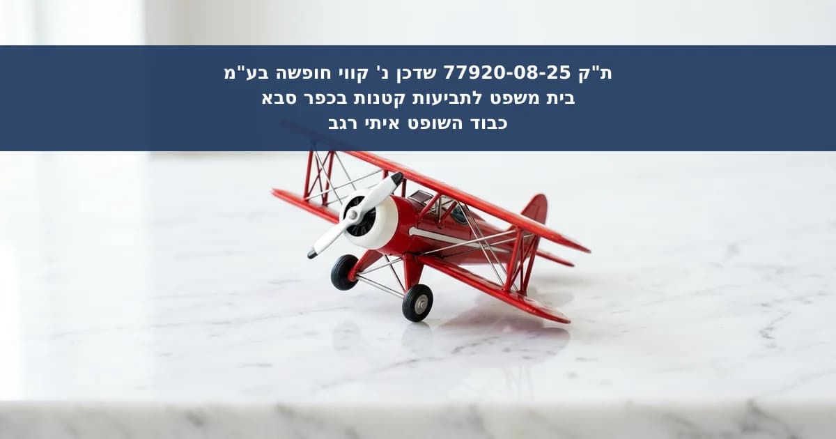 פיצוי בגין ביטול טיסה והיעדר שירותי סיוע