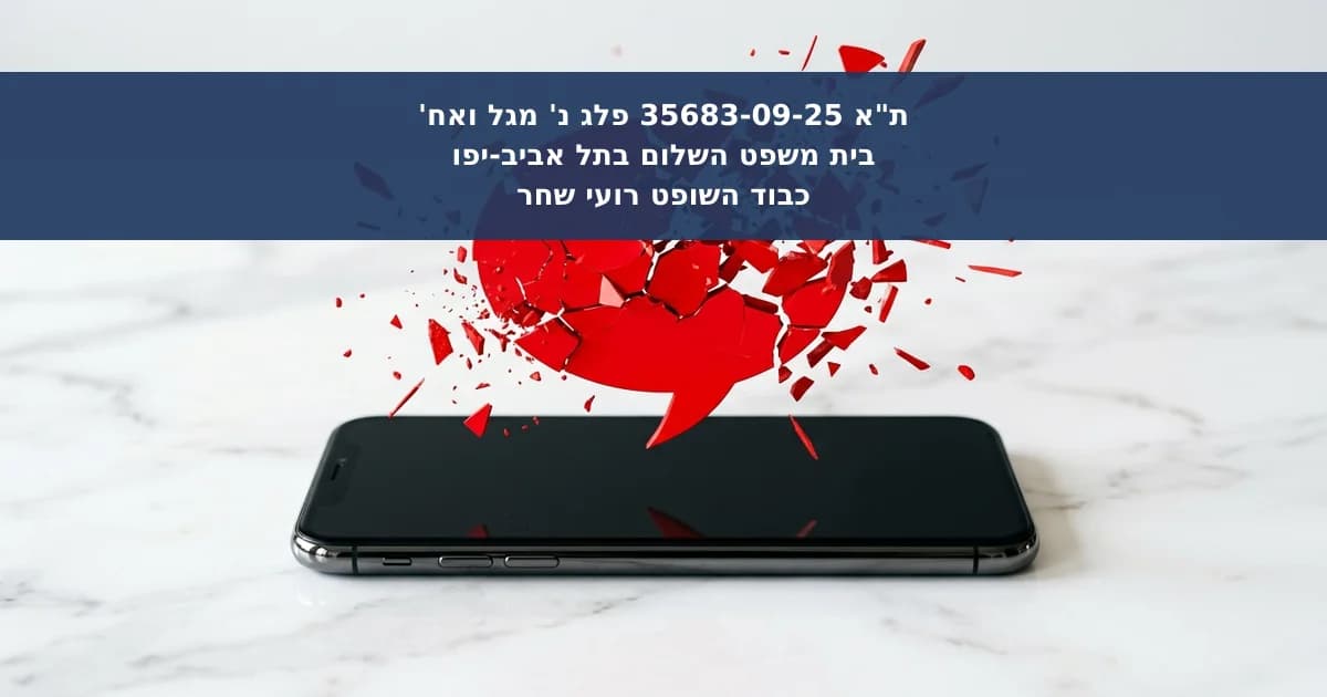 לשון הרע בייחוס השתמטות משירות צבאי בשידור חי