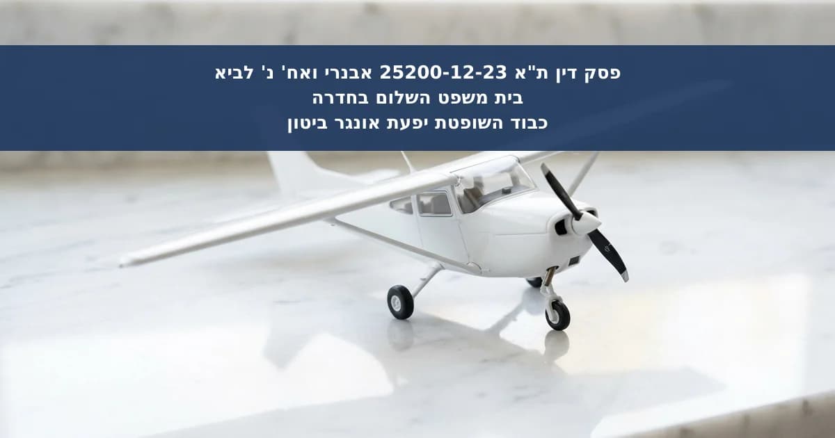 התרסקות מטוס בבעלות משותפת: תביעת השותפים נדחתה